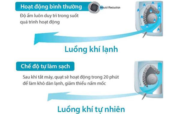 Máy lạnh Toshiba Inverter 1.5 HP RAS-H13Z1KCVG-V - Chức năng tự động làm sạch bên trong dàn lạnh